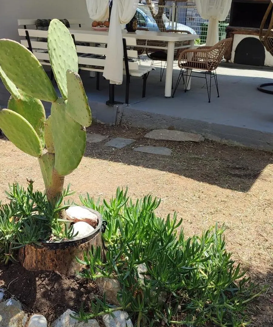 הוילה אמוליאני Olea House